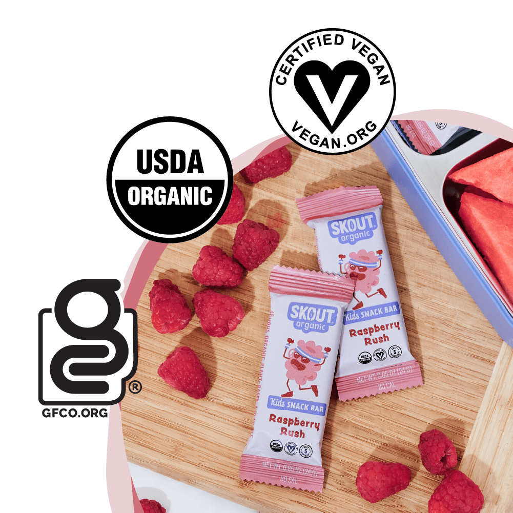 Skout Organic Kids Snack Bar | Raspberry Rush