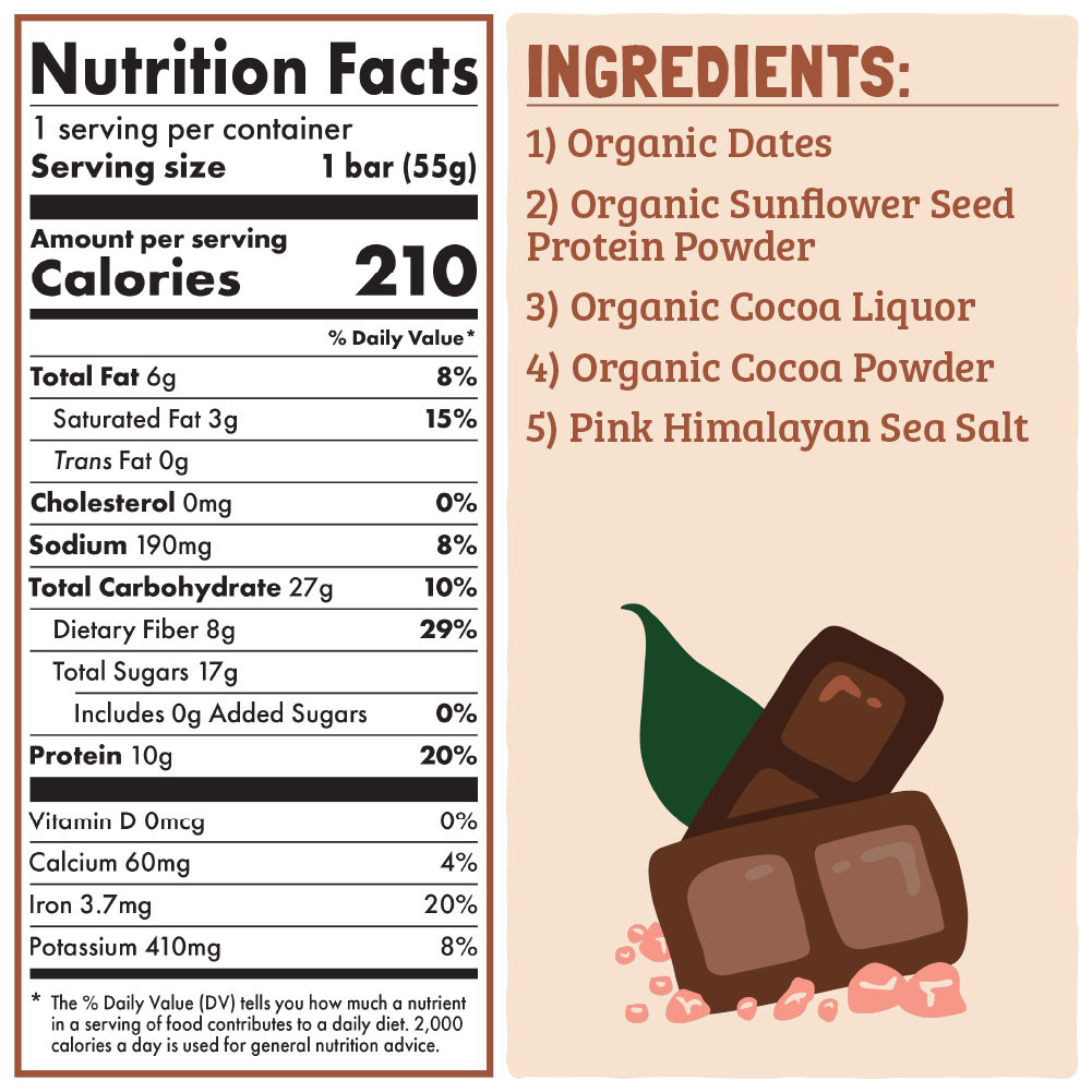 Skout Organic Salted Chocolate Protein Bar